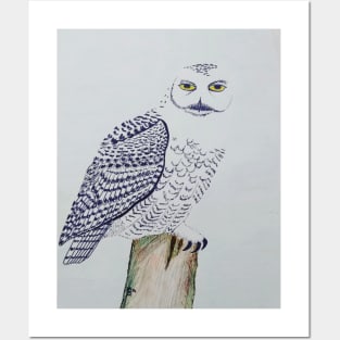 Snowy Owl on Post Posters and Art